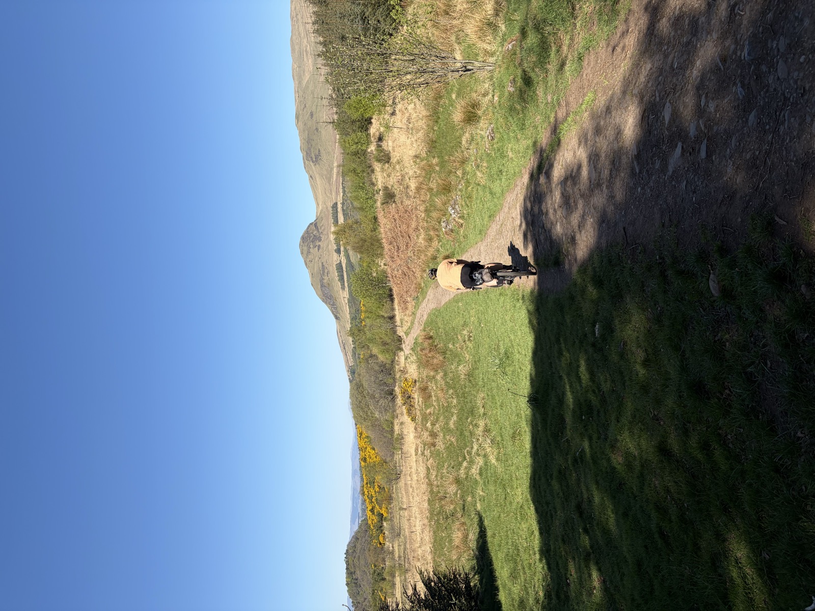 Landscape view