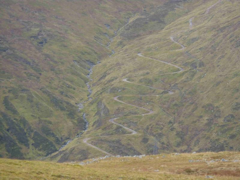 Picture of the pass from online