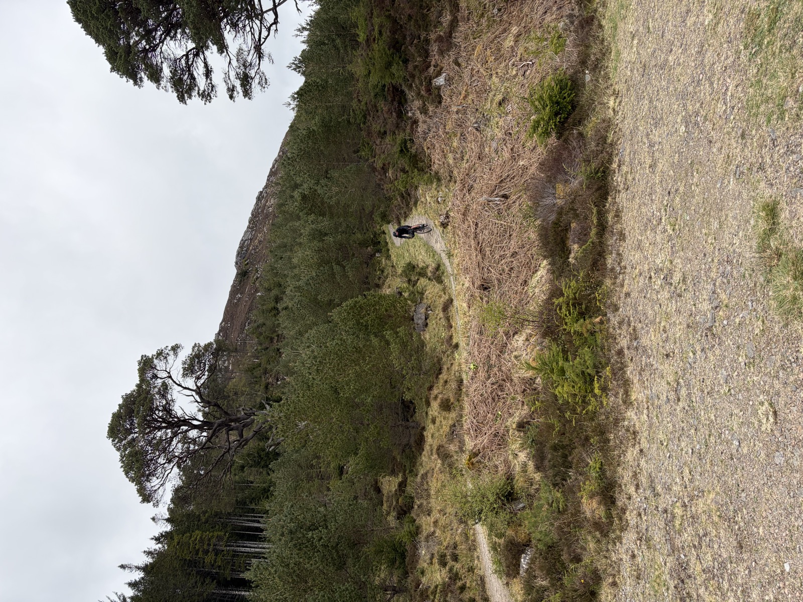 Descent loch ness through forest tracks